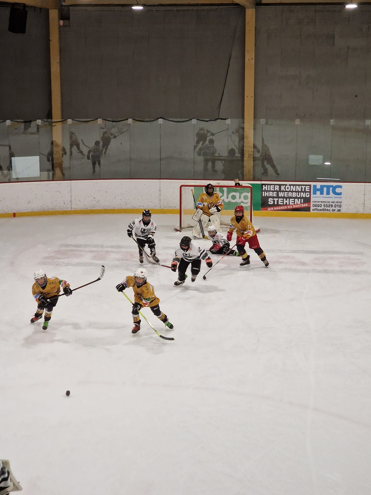 u11_bundesliga_HTC_012026_02