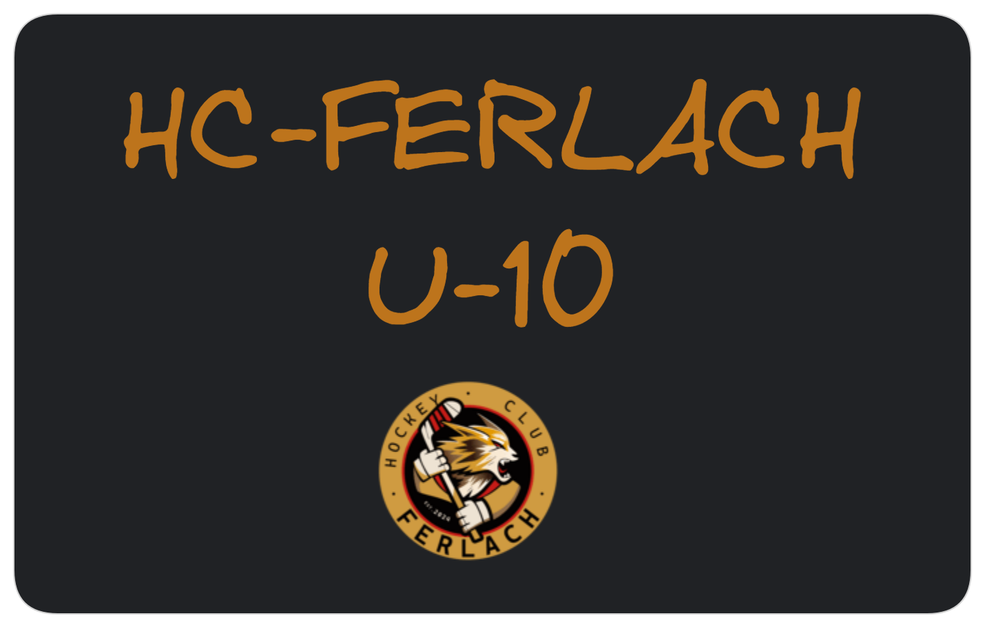 Bild der HC-Ferlach U_10