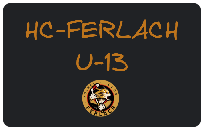 Bild der HC-Ferlach U_13