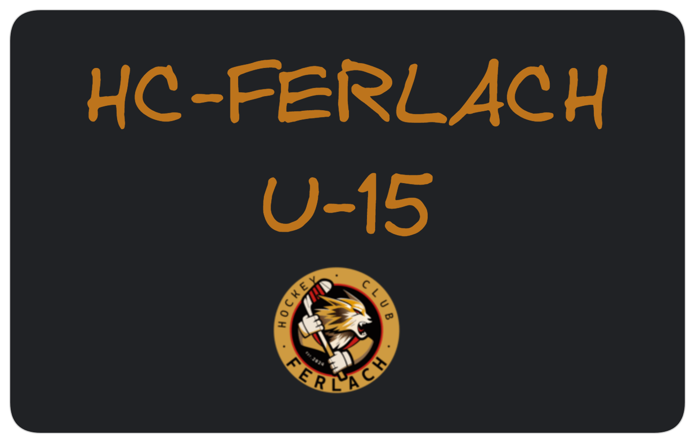 Bild der HC-Ferlach U-15