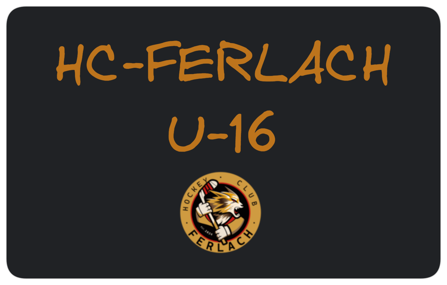 Bild der HC-Ferlach U_16