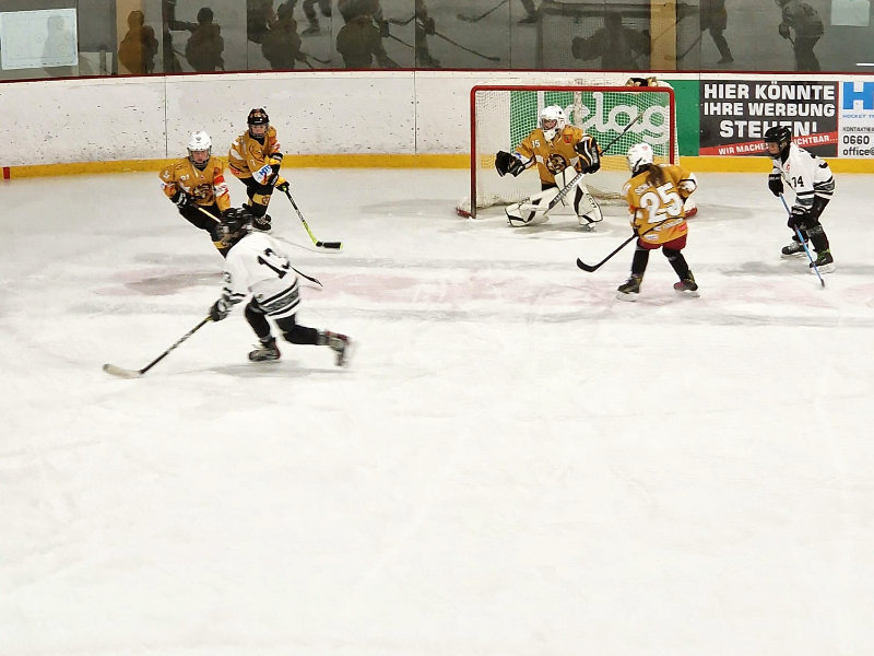 HC-Ferlach U-11 auf dem Eis